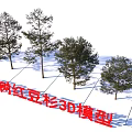 Modern Chinese Yew Tree 3D Model Design For Architectural Visualization 3d model