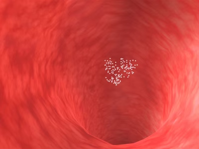 Detailed View of Human Chest Organ Trachea Inner Structure With White Particles 3d model