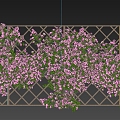 Rose Rosa Vine Plant Climbing Vine Green Plant Flower Wall 3d model