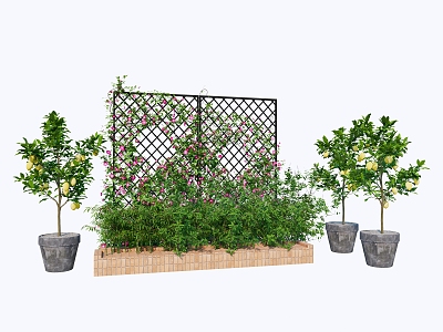 Modern Garden Green Plants Climbing Plants Petunia Clematis Lemon Tree Flowers and Shrubs 3d model