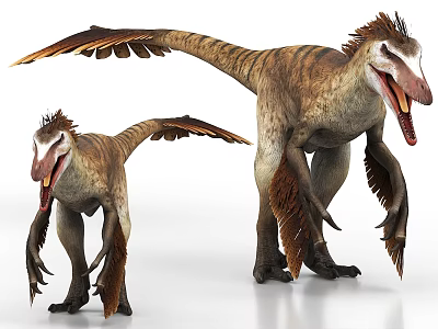 Realistic Large And Small Feathered Dinosaurs With Open Mouths Outstretched Wings And Detailed Texture 3d model