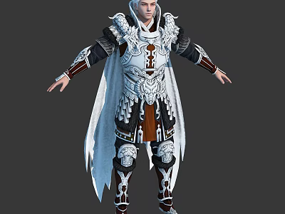 Fantasy Armored Character With Elaborate White Silver Armor And Decorative Cape Details 3d model