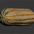 Fresh Long Shaped Pumpkin With Orange Green Stripes For Household Kitchen