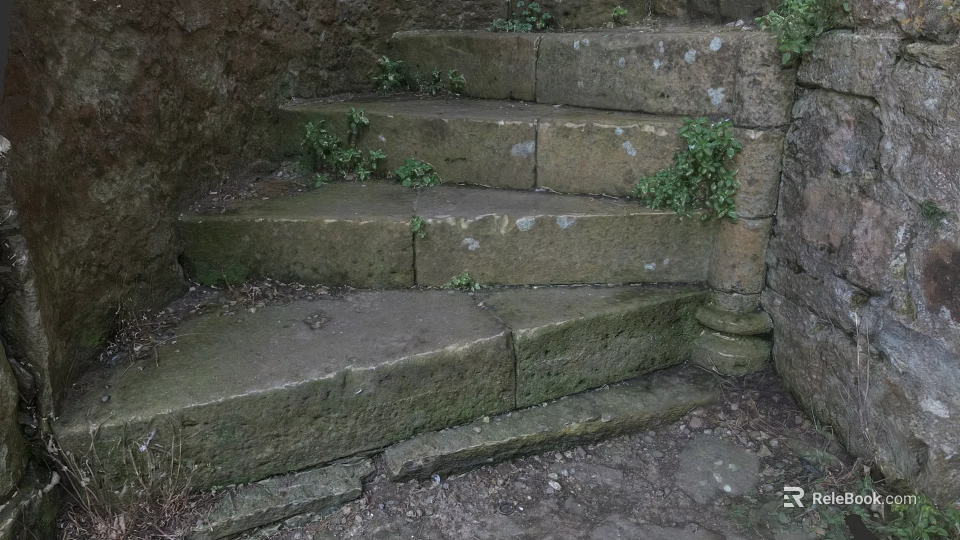 Ancient Stone Spiral Staircase With Mossy Steps Stone Walls And Green Plants 3d model 