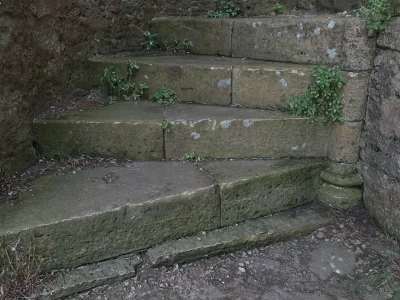 Ancient Stone Spiral Staircase With Mossy Steps Stone Walls And Green Plants 3d model