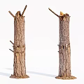 Tree Trunks Cut Down With Broken Branches And Soil Base On White Background 3d model