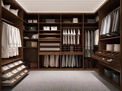 Modern Wooden Wardrobe Interior With Hanging Clothes Shelves Drawers And Shoe Storage 3d model