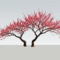 Two Blooming Trees With Pink Flowers And Slender Trunks On Light Background 3d model