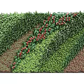 Lush Living Plant Wall With Green Foliage Red Flowers And Layered Design For Decoration