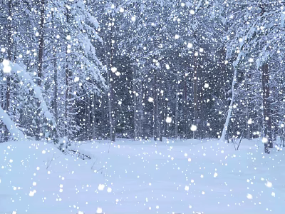 Snowy Forest Scenery With Falling Snowflakes Snow Covered Trees And White Ground 3d model