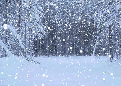 Realistic Snow Particle Animation Scene Snow Animation Snowflake Falling Animation Snowflake Particle Snow Scene Snow Animation Scene Snow Scene Snowflake Flying Dynamic 3d model