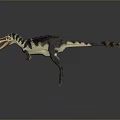 Realistic Velociraptor Dinosaur 3D Model With Yellow Black Stripes Orange Tail Tip And Open Mouth