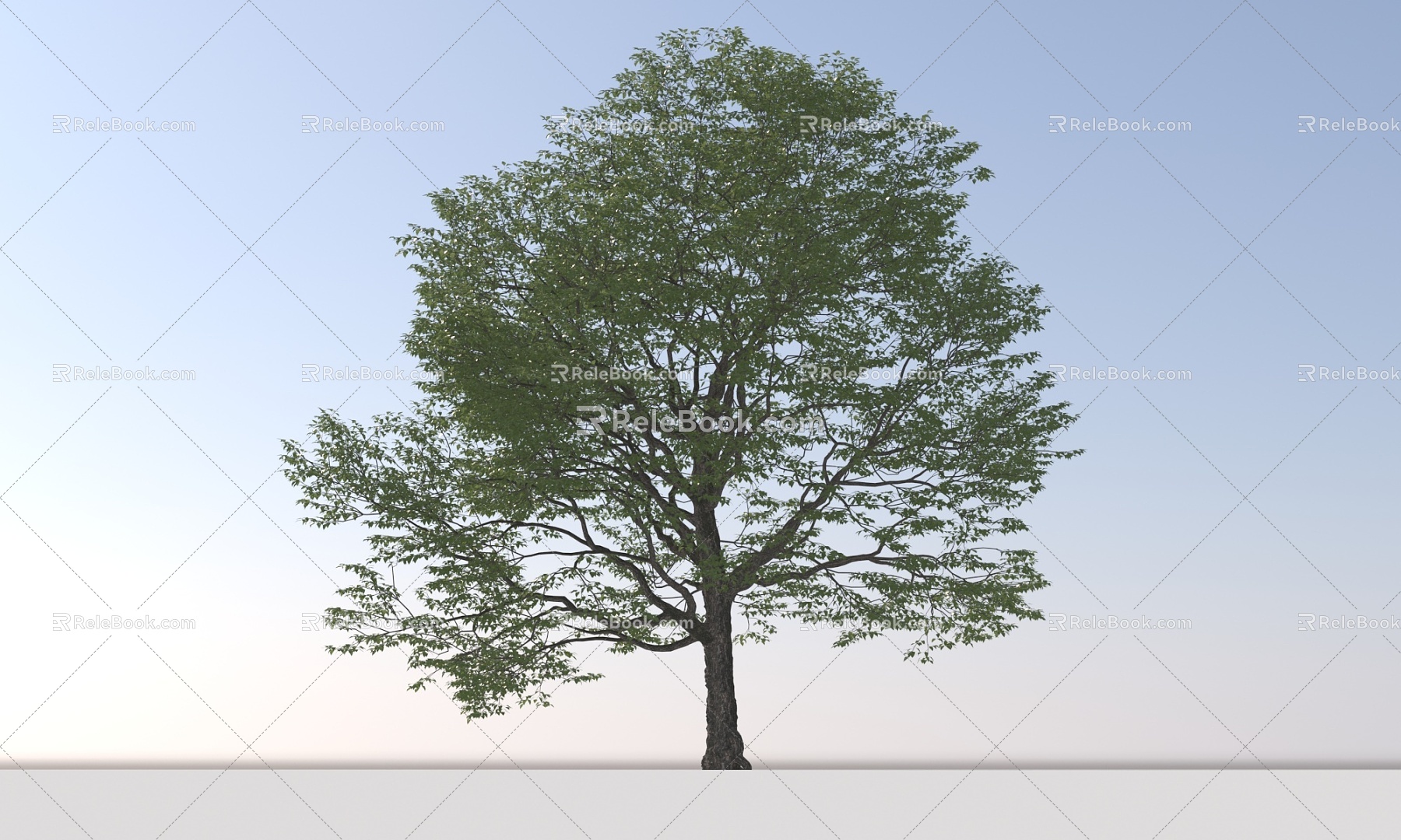 Landscape Arbor Tree 3d model