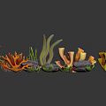 Colorful Marine Corals Seaweeds and Rocks Collection for Scene Design