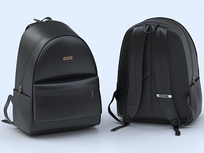 School Bag Backpack Luggage Bag Travel Bag Backpack Bag Leather Bag Computer Bag 3d model