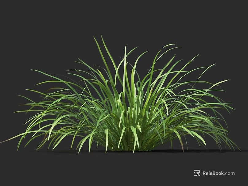3D Rendered Green Herb Plant With Lush Slender Leaves And Vibrant Foliage 3d model 