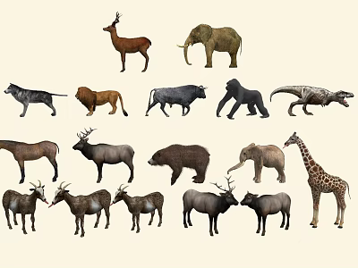 Colorful Reptile Dinosaur Among Diverse Wild Animal Collection Illustrations 3d model