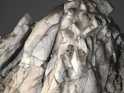Rural Landscape Showcasing Rocky Mountain Slopes With Lush Vegetation And Natural Textural Details 3d model