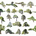 Diverse Plant Combination with Varied Tree Shapes for Garden Landscaping Design