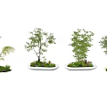 Different Tree Planter Designs With Small Trees Grass And Decorative Stones 3d model