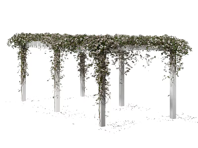 Lush Green Vines With Small Leaves Covering White Pillars In Garden Arbor 3d model