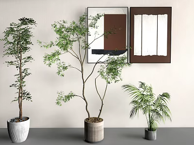potted green plant flower 3d model