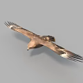 Majestic Flying Eagle Soaring High with Spread Wings in Clear Sky