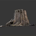 Ancient Tree Stump With Rough Wood Texture Surrounded By Dirt And Small Stones