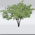 Lush Arbor With Green Leaves Brown Trunk And Full Crown Featuring Multiple Branches 3d model