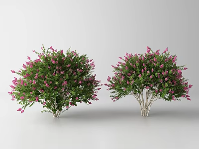 Pink Flowering Shrubs with Green Leaves Garden Bushy Outdoor Plants Decor 3d model