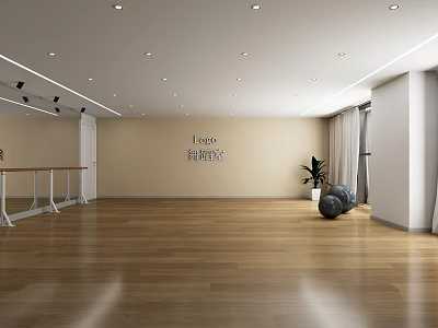 Spacious Bright Fitness Studio With Equipment And Plants 3d model