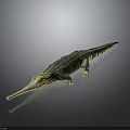 Long Snouted Crocodile With Green Yellow Textured Skin On Dark Background With Reflection