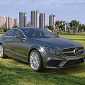 Luxury Mercedes Sedan Parked On Green Grass Field With City Skyline And Trees