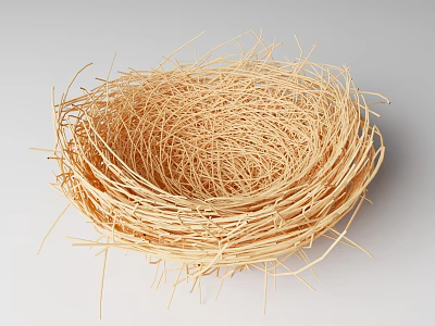Natural Bird Nest Made With Woven Hay And Twigs Showing Detailed Texture 3d model