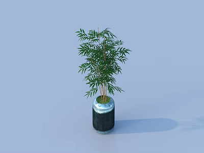 Elegant Bonsai Plant With Lush Green Leaves In Blue And Black Ceramic Pot 3d model
