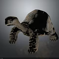 Colorful Turtle Sculpture With Detailed Shell Patterns And Textured Legs 3d model