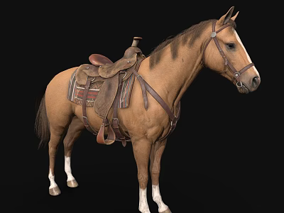 Brown Horse With Leather Saddle And Reins Standing On Black Background 3d model
