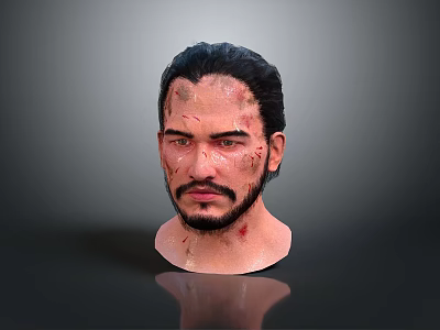 Man 3D Head Model With Dark Hair Beard Facial Blood And Scars On Gray Background 3d model
