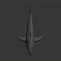 Realistic Gray Shark Model With Dorsal Fin And Open Mouth On Dark Background
