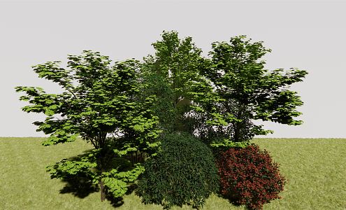 modern tree arbor 3d model