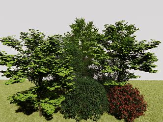 modern tree arbor 3d model