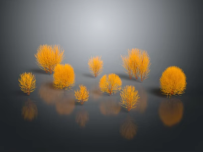 Orange Bush Plants with Multiple Tufts on Dark Background and Reflections 3d model