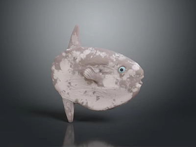 Ocean Sunfish with Grayish White Spotted Body Blue Eyes and Rounded Form 3d model