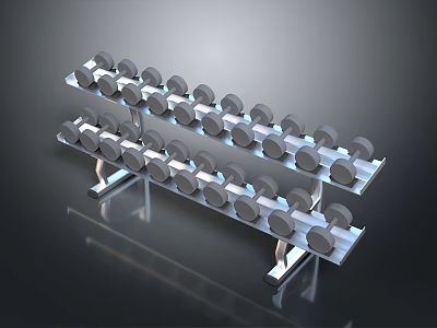 Multi Layered Metal Dumbbell Rack For Household Gym Storage With Weights 3d model