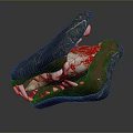 Detailed Crocodile Head Model With Open Mouth Red Internal Organs And Sharp White Teeth