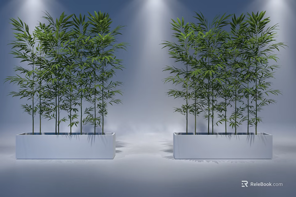Elegant Potted Bamboo Plants in White Planters for Indoor Decorative Lighting 3d model 