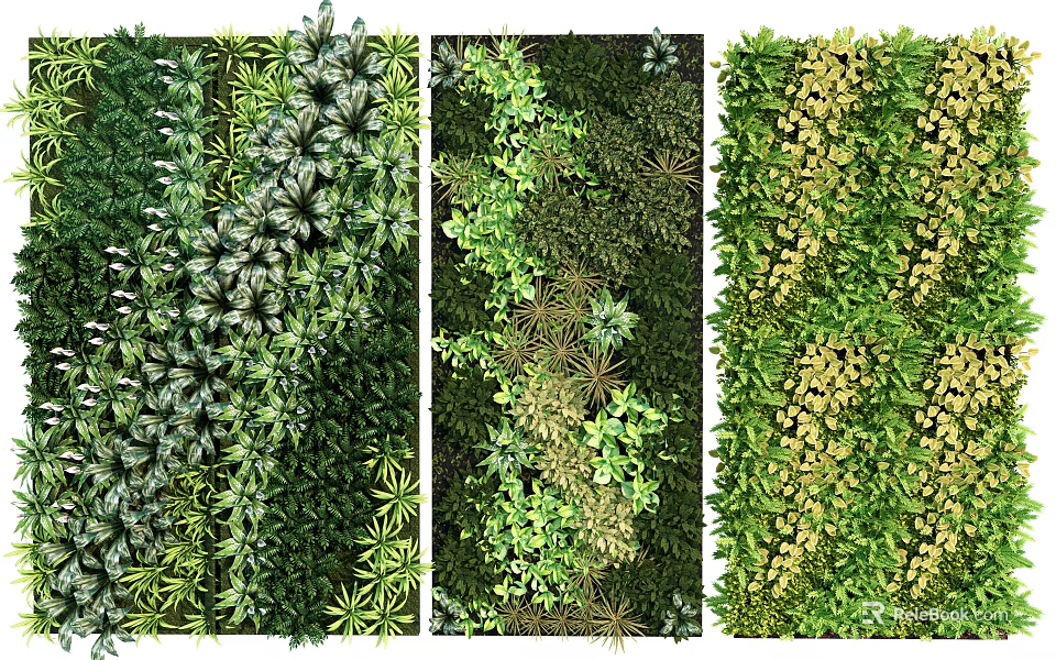 Diverse Lush Living Wall Design With Various Green Plants And Natural Foliage Tones 3d model 