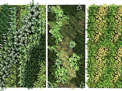 Diverse Lush Living Wall Design With Various Green Plants And Natural Foliage Tones 3d model