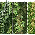 Diverse Lush Living Wall Design With Various Green Plants And Natural Foliage Tones