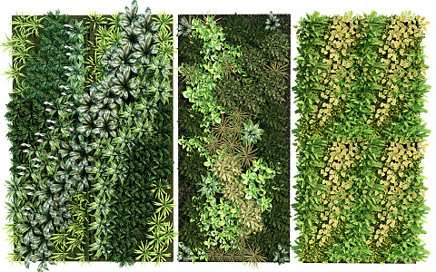 Modern Green Plant Wall Plant Wall Vertical Greening Green Plant Background Wall Greening Wall Green Plant Decoration 3d model